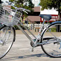 Layanan peminjaman gratis