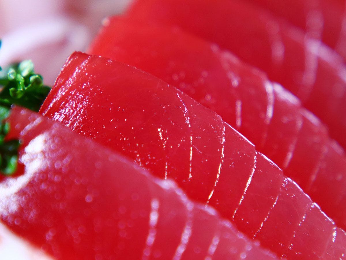 Perahu Sashimi*Ikan Musiman Berwarna Cerah