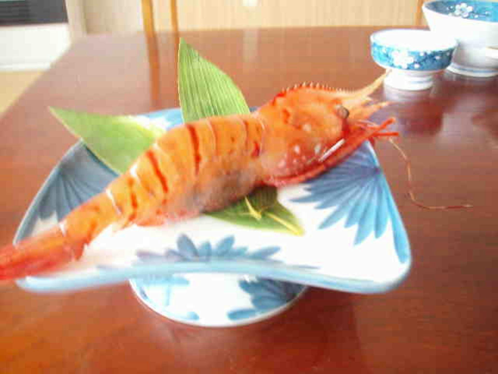 กุ้งโบตันขนาดใหญ่ที่เพิ่งจับได้สดๆ