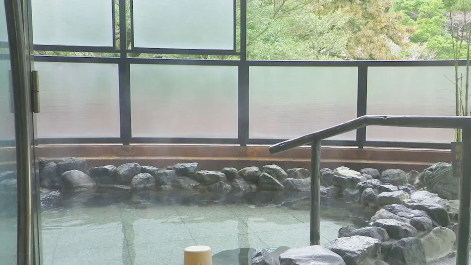 Hotel de Marronnier Yunoyama Onsen