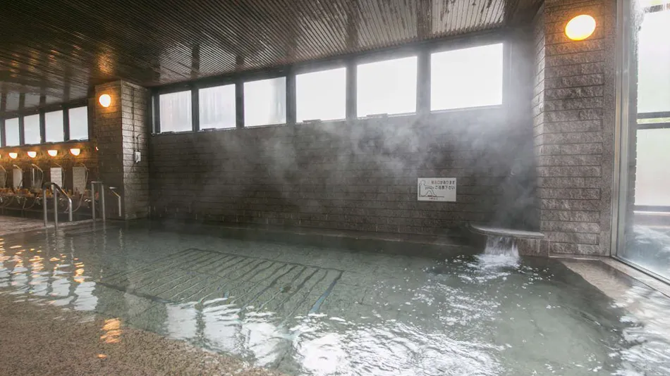 Hotel de Marronnier Yunoyama Onsen