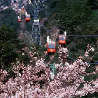 봄의 고자이쇼산