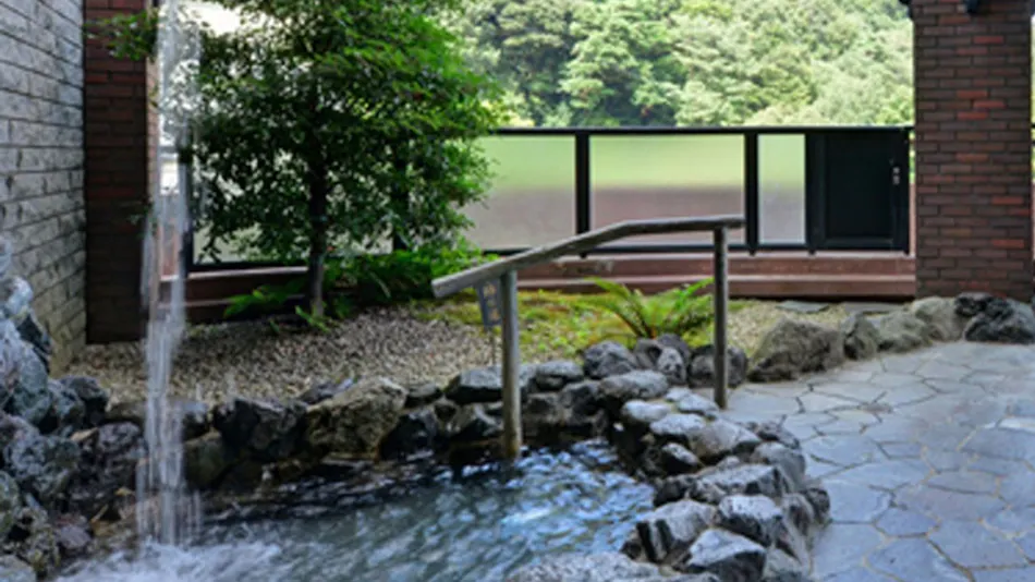 Hotel de Marronnier Yunoyama Onsen