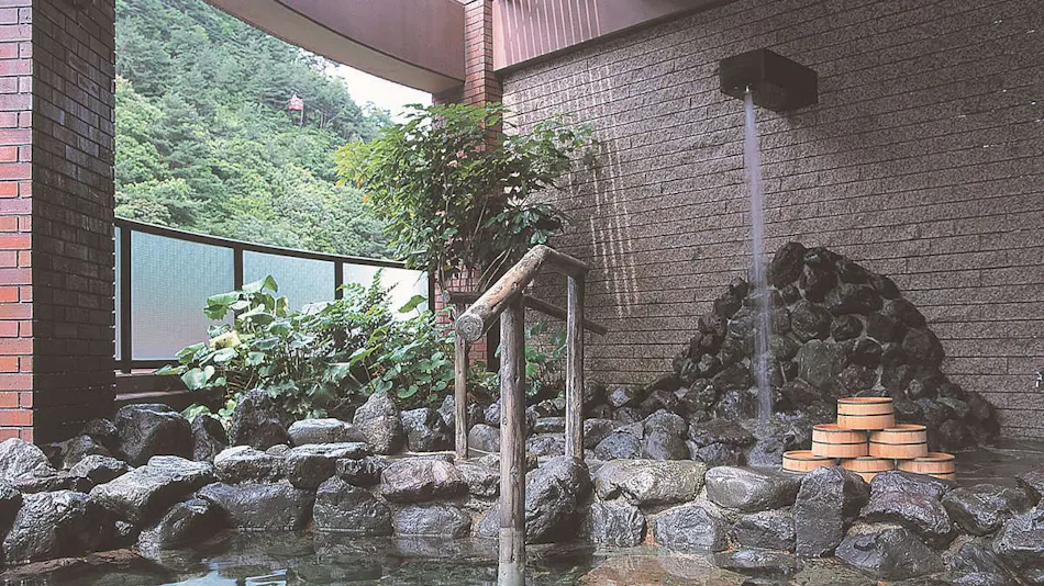 Hotel de Marronnier Yunoyama Onsen
