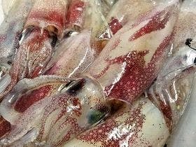 隠岐の島・美味しい海の宿　隠岐プラザホテル