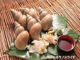 隠岐の島・美味しい海の宿　隠岐プラザホテル