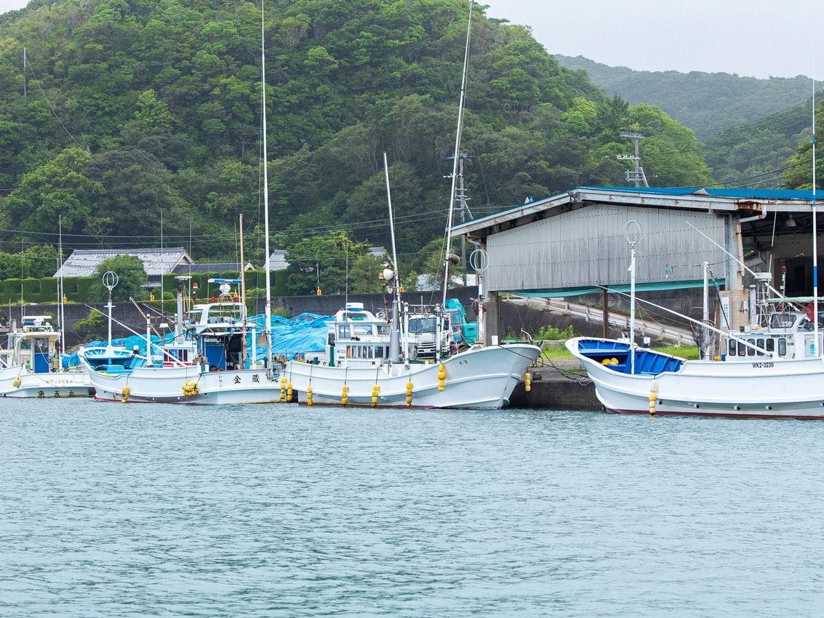 MARINE-Q Kushimoto Branch