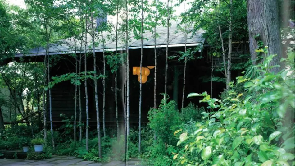 The No.10 Forest Haven Villa