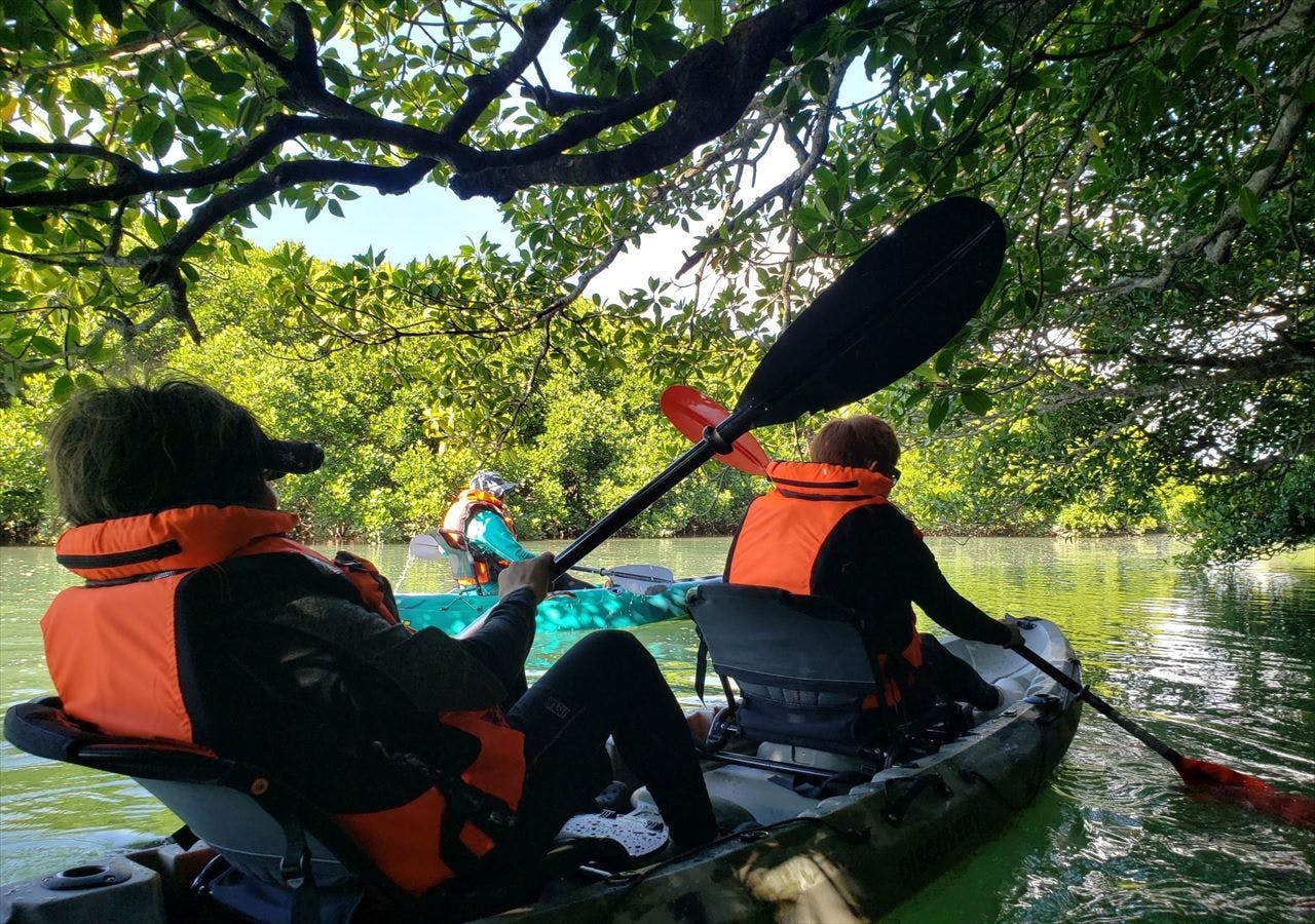 Kayak