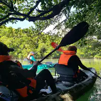 Kayak