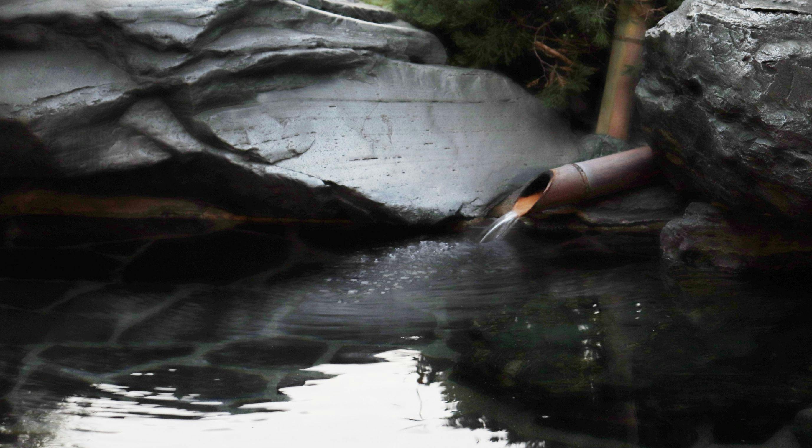 Yamaga Onsen Chozantei