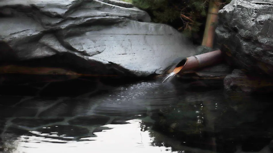 Yamaga Onsen Chozantei