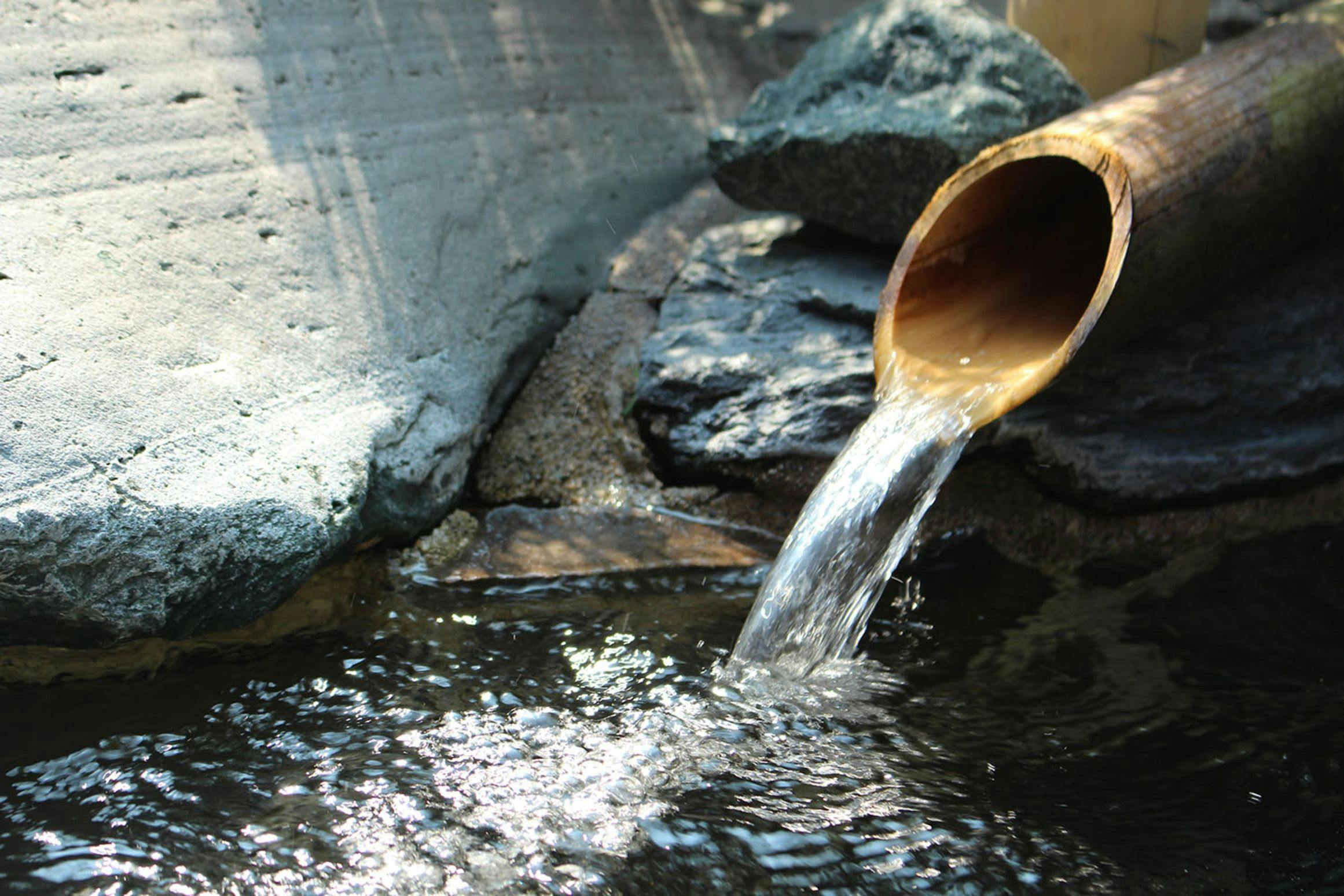 Yamaga Onsen Chozantei