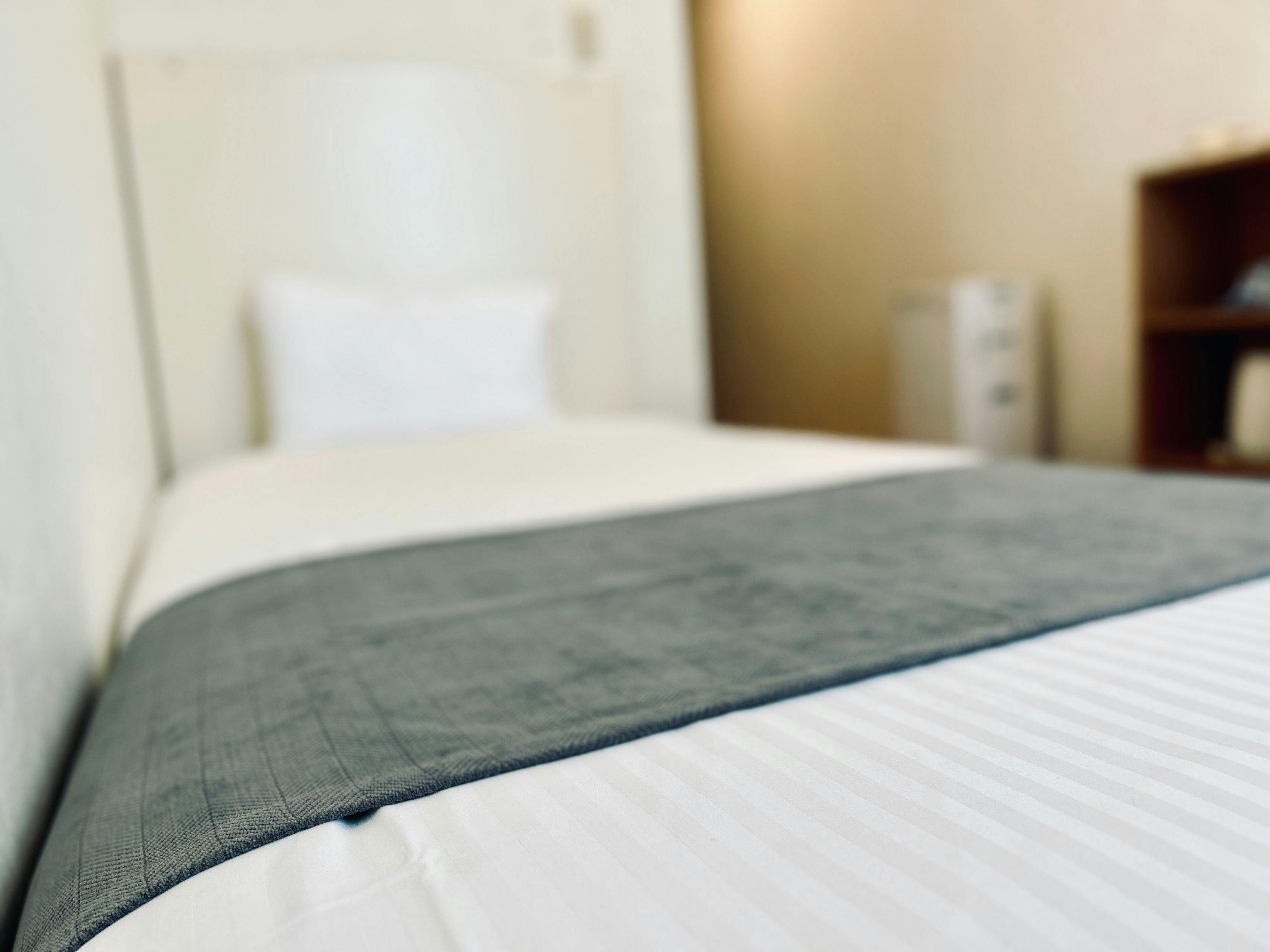 ห้องพักเดี่ยวสไตล์ตะวันตก เตียง