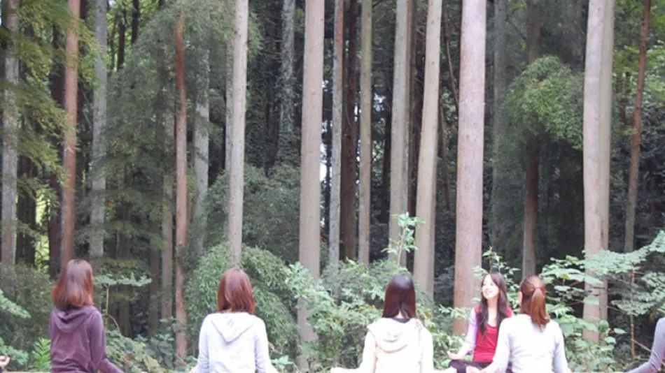Nakadaki Art Village