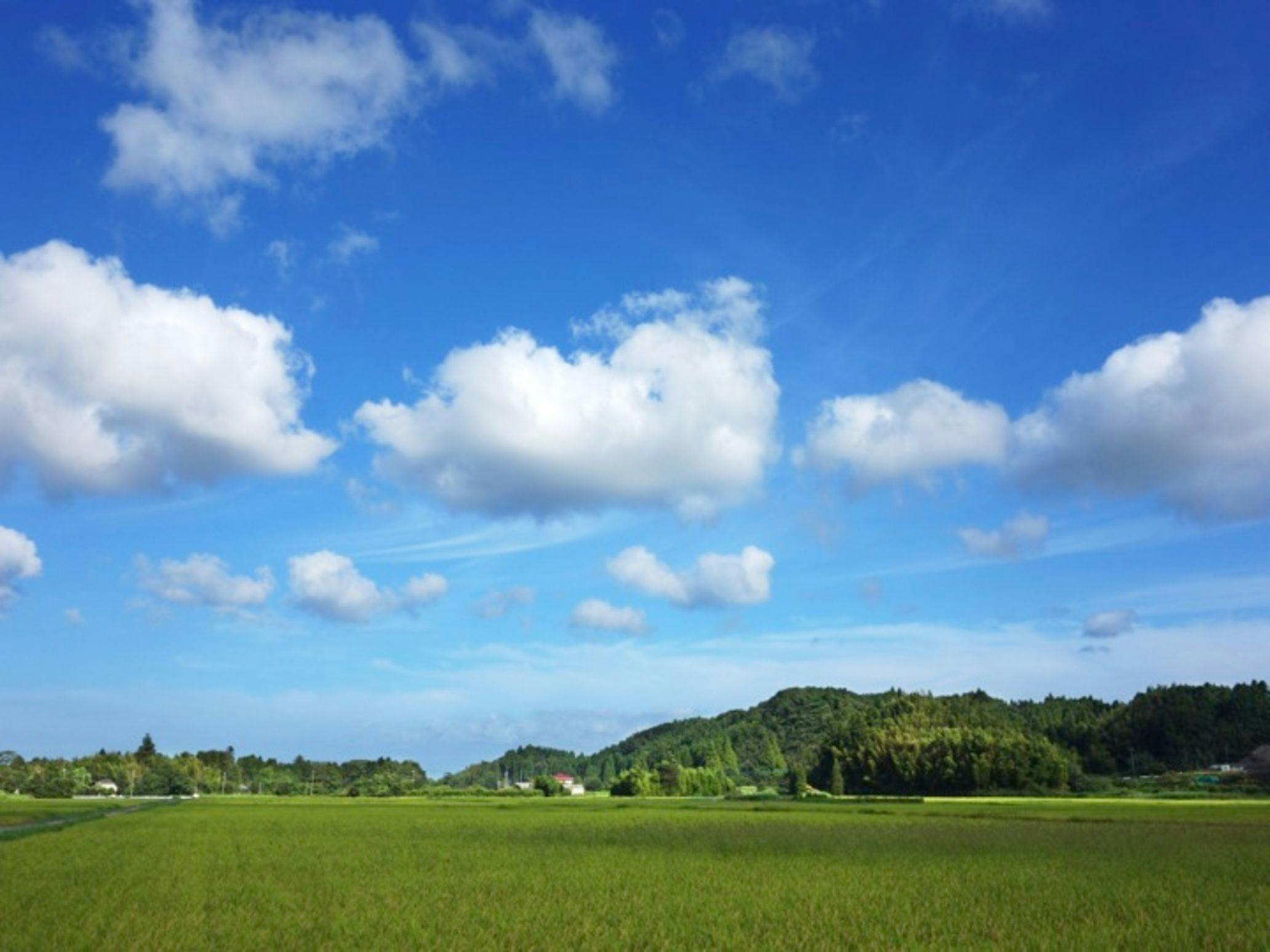 Nakadaki Art Village