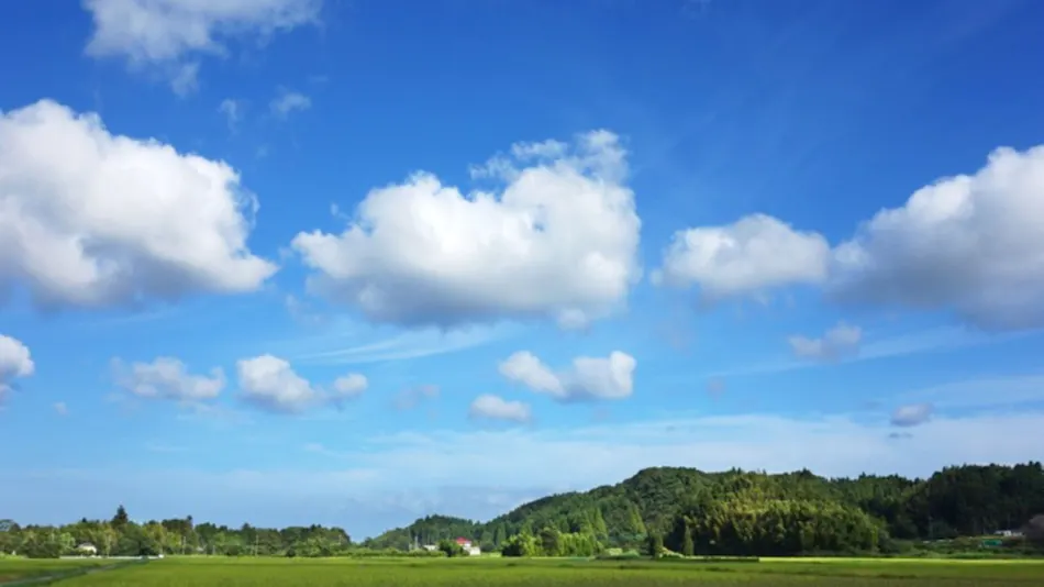 Nakadaki Art Village