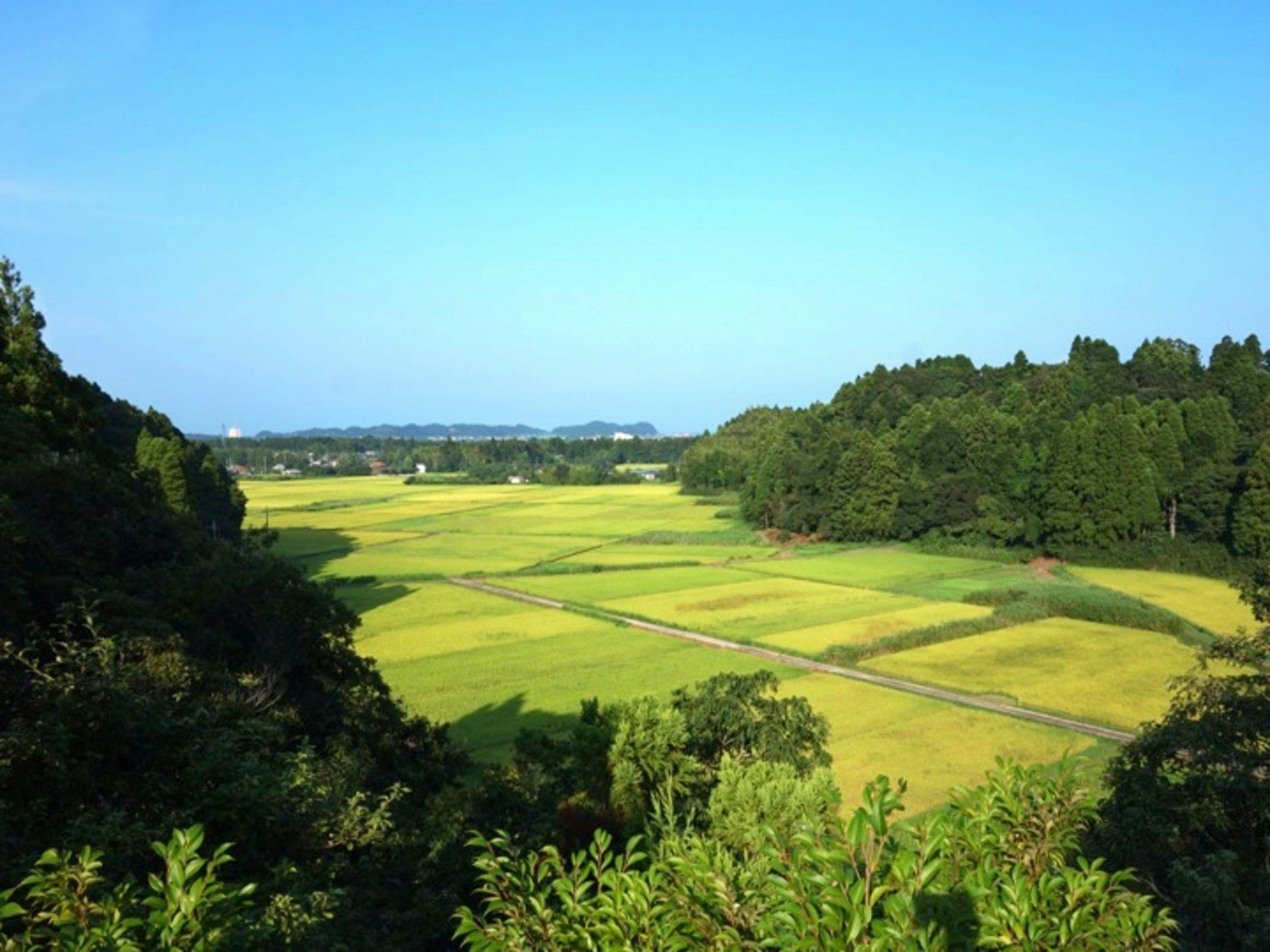 Nakadaki Art Village