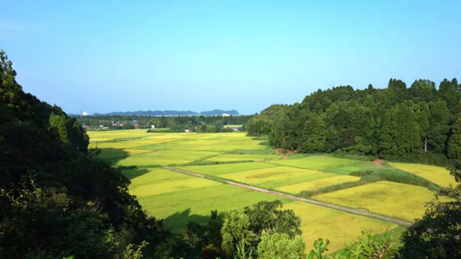 Nakadaki Art Village