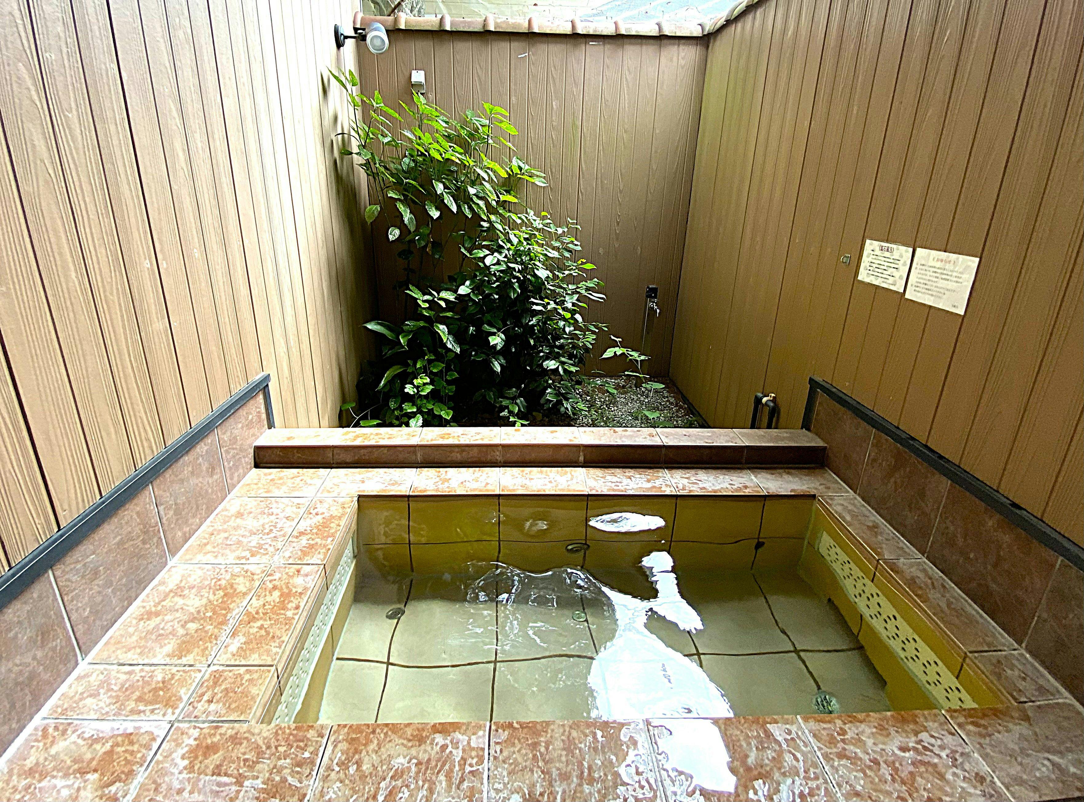 Aqua Suite: Full Course in a Room with Open-Air Bath for Two and Mist Sauna