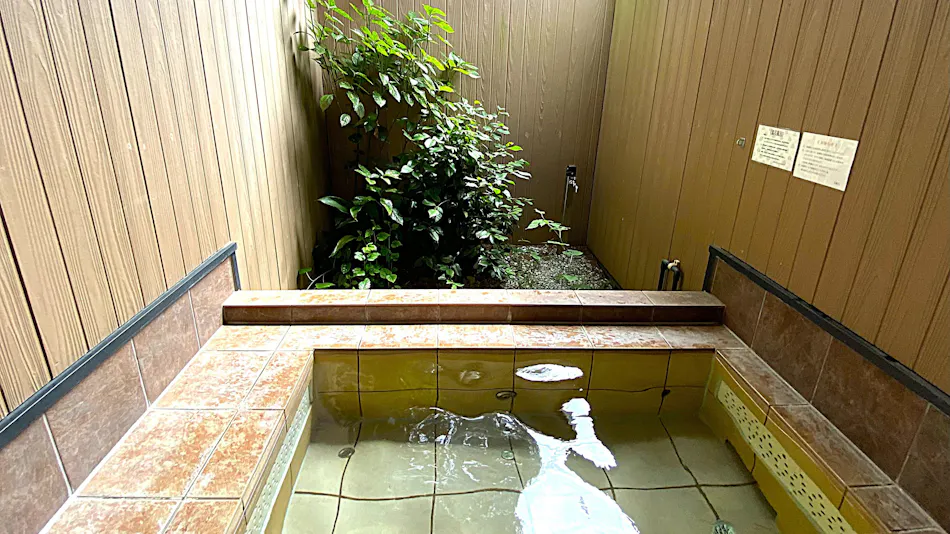 Aqua Suite: Full Course in a Room with Open-Air Bath for Two and Mist Sauna