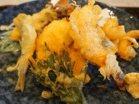 民宿どんぐりの山