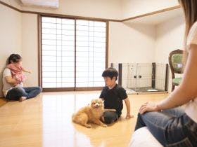 隠岐シーサイド岬