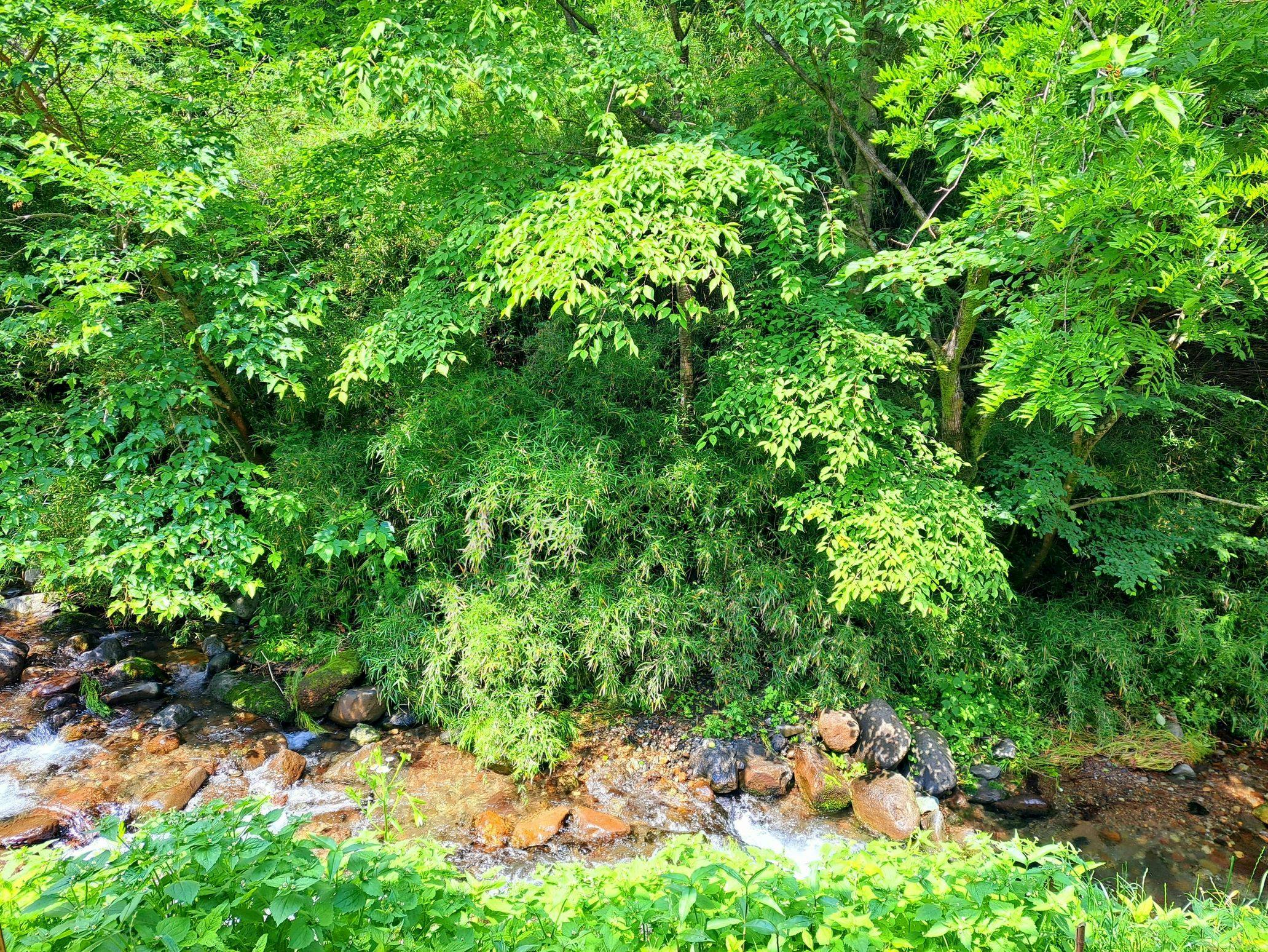 Rosewood Garden & Villa