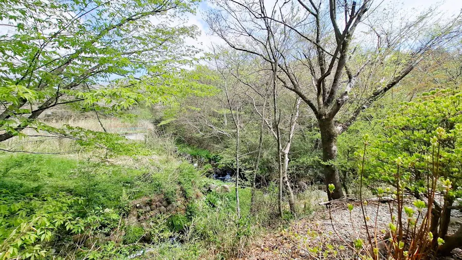 Rosewood Garden & Villa
