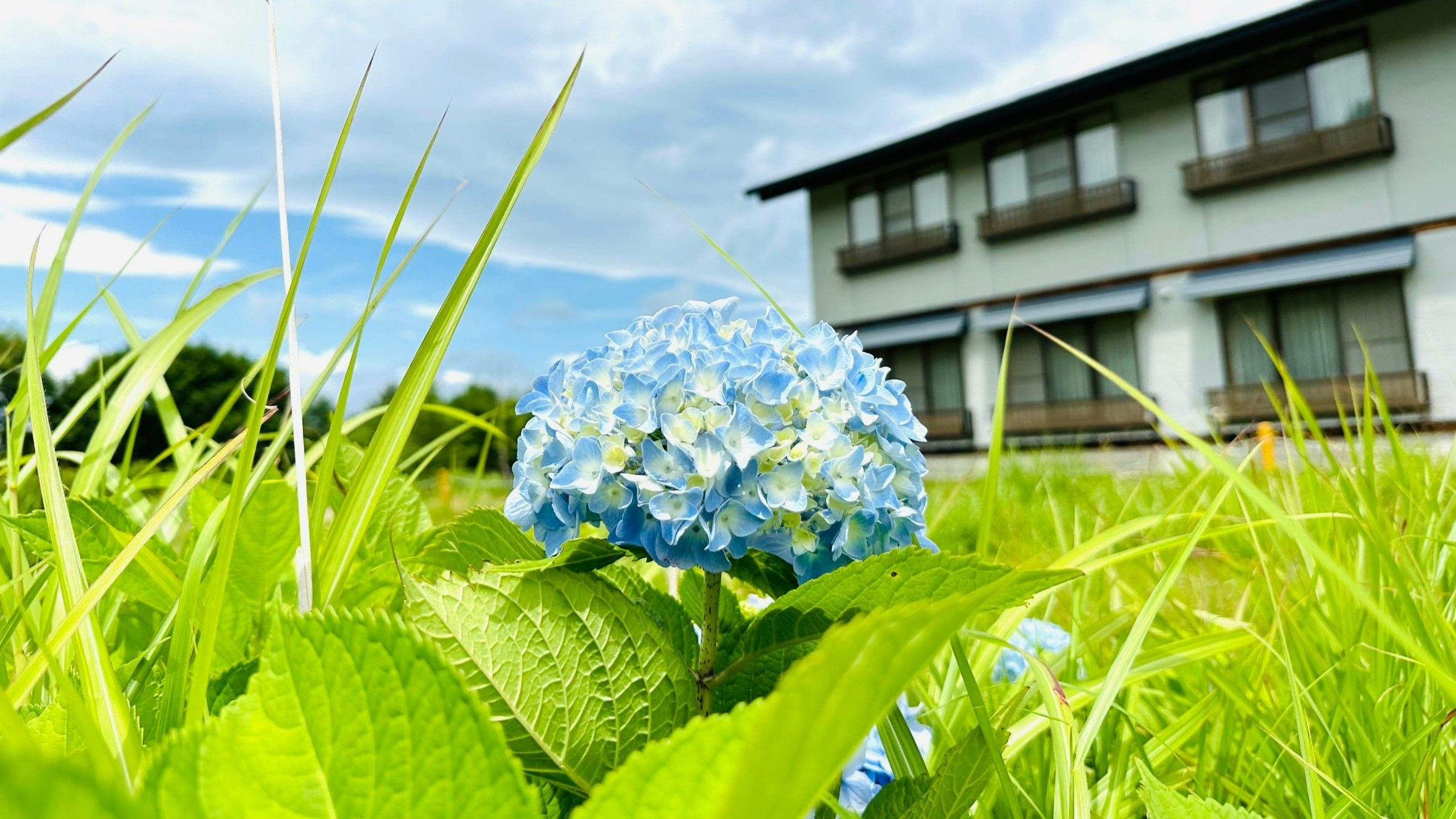 施設画像