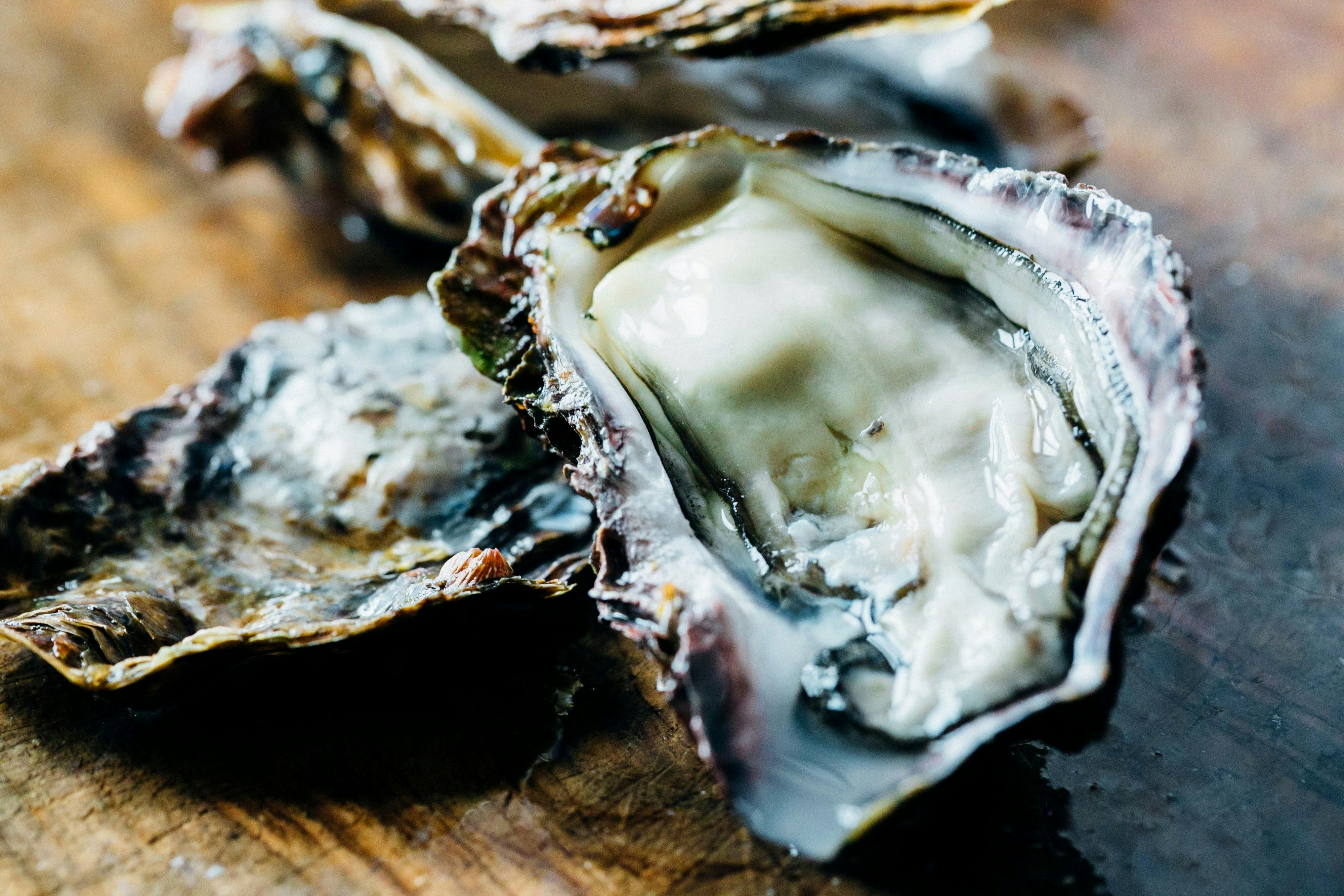 เรามีหอยนางรมสดพร้อมเปลือก!