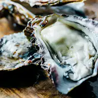 เรามีหอยนางรมสดพร้อมเปลือก!