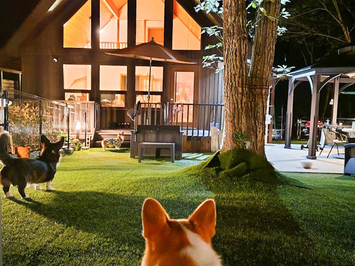 Villa Mori no Wankororin