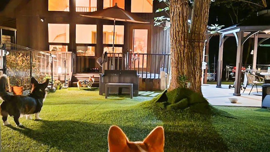 Villa Mori no Wankororin