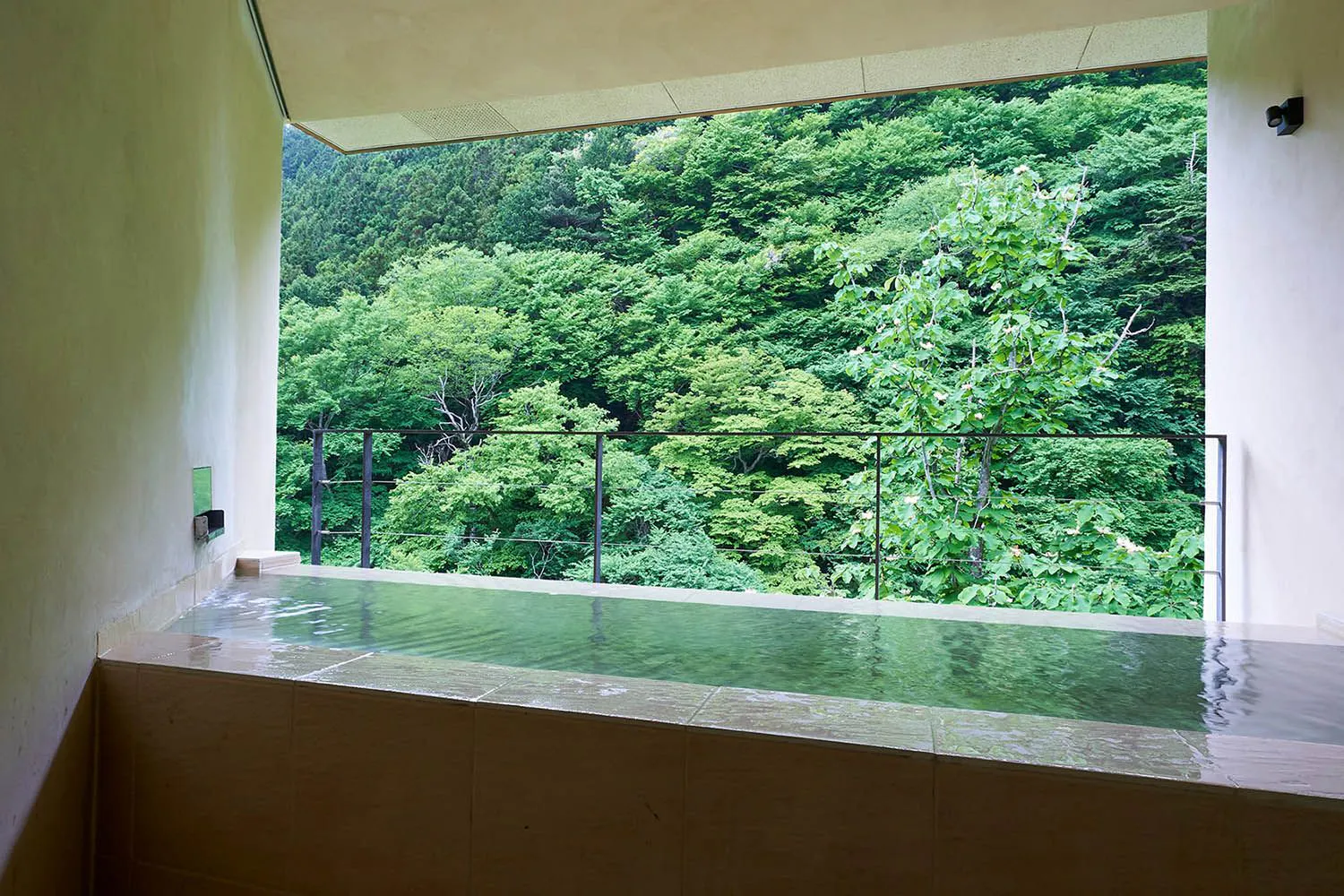 SHIN 湯治 HOTEL LULUD - 【一泊二食付】プライベートな四万温泉を満喫(貸切露天風呂付) - 【フォレストルーム B】ツイン ...
