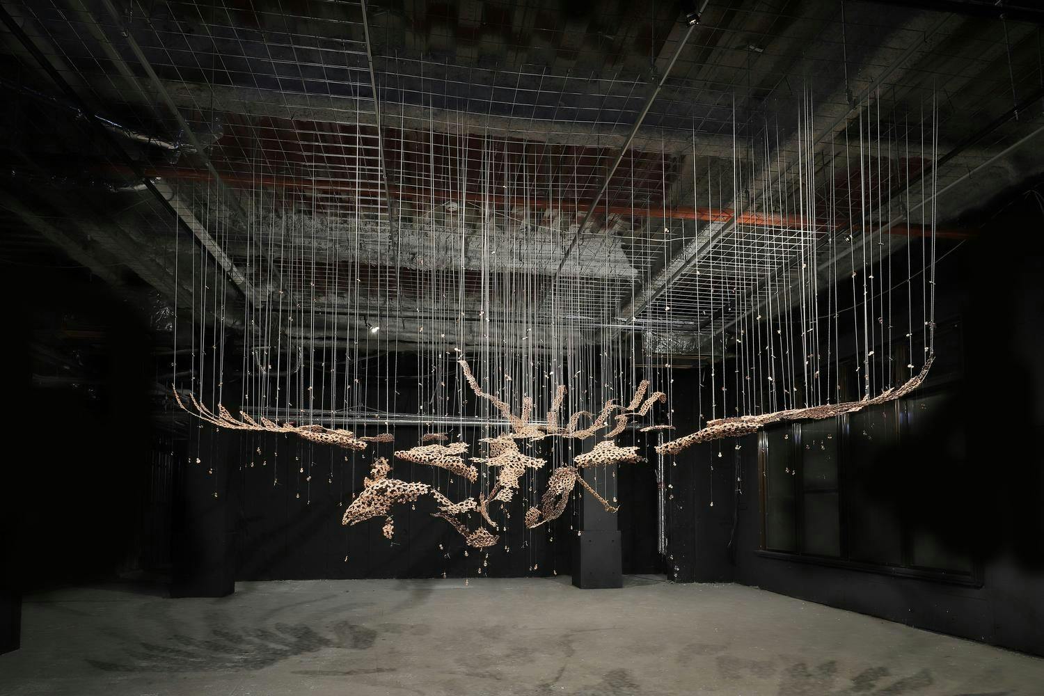 SHIN โทจิ แกลเลอรี่