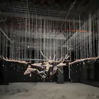 SHIN โทจิ แกลเลอรี่