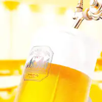 แผนสนับสนุนธุรกิจ★สิทธิพิเศษแผน