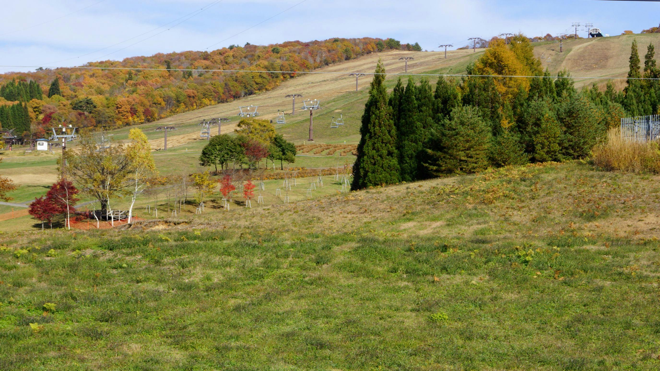 สวนปิกนิก: ฤดูหนาว