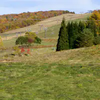 สวนปิกนิก: ฤดูหนาว