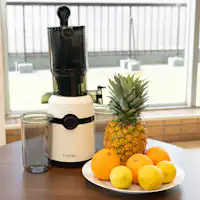 Slow juicer