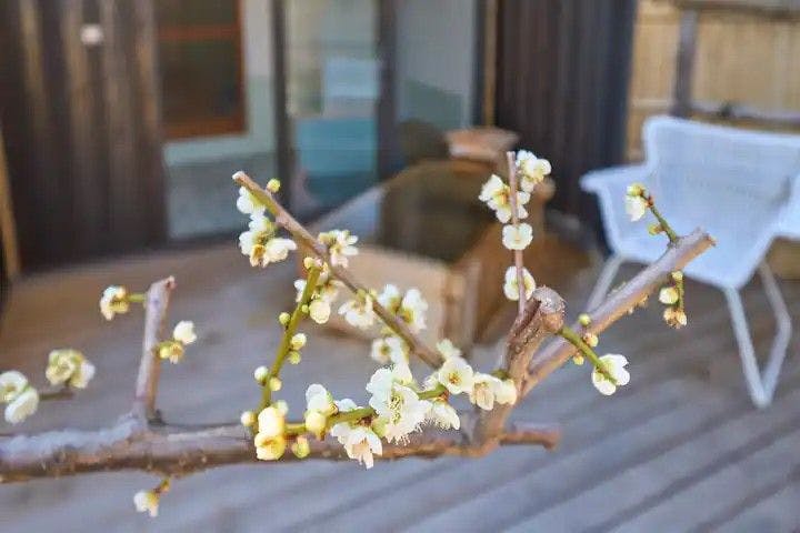 Suite Villa Atami Annex Soubaian