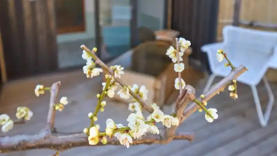 Suite Villa Atami Annex Soubaian