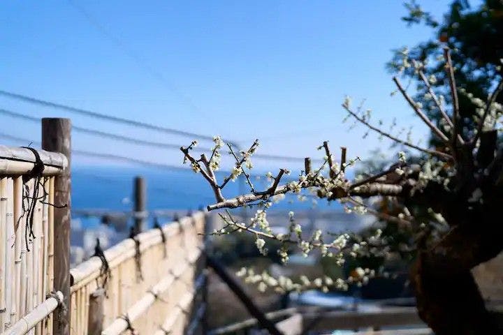 Suite Villa Atami Annex Soubaian