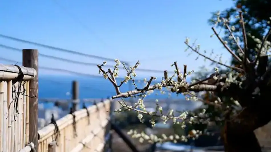 Suite Villa Atami Annex Soubaian
