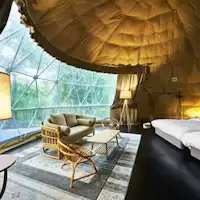 Bersarang di tengah alam.