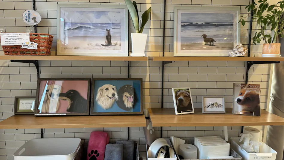 Dog Cottage Surfside Kujukuri