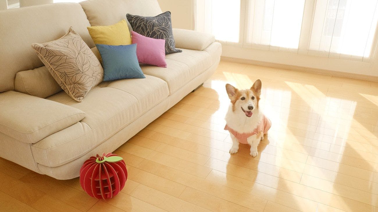 Peace One Shichinohe Towada