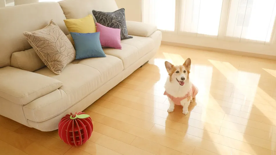 Peace One Shichinohe Towada