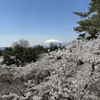 【ฤดูใบไม้ผลิ】เดินทางไปจนถึงเมืองฮิโรซากิ